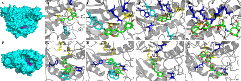 Fig. 10