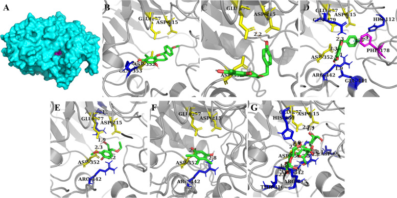 Fig. 8