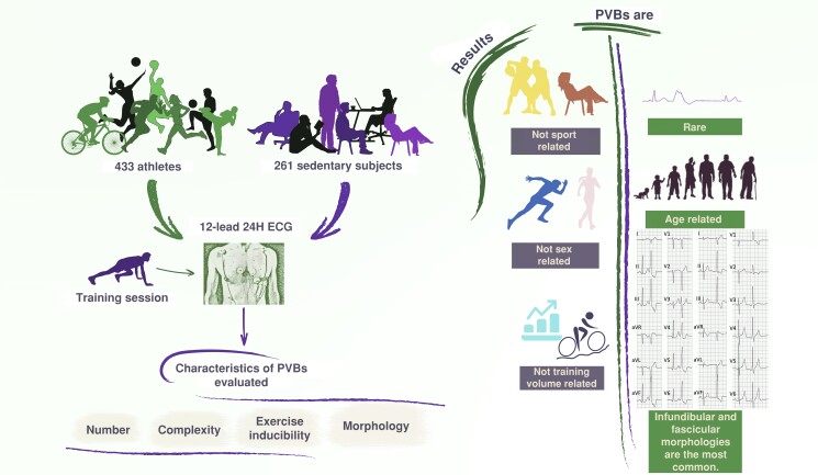 Graphical Abstract