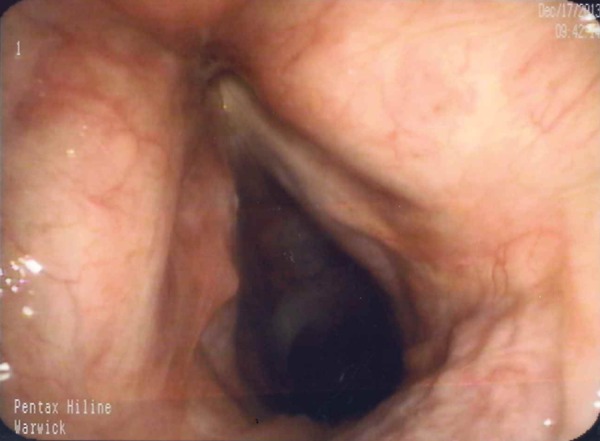 Figure 1