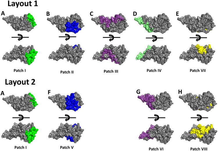 FIG 1