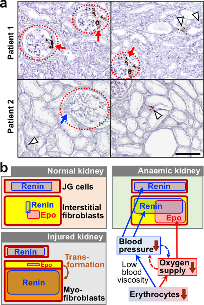 Fig 8