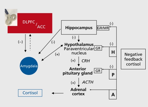 Figure2.