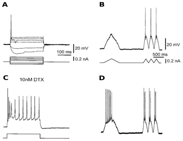 Figure 4.2