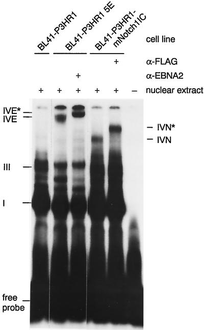 FIG. 5