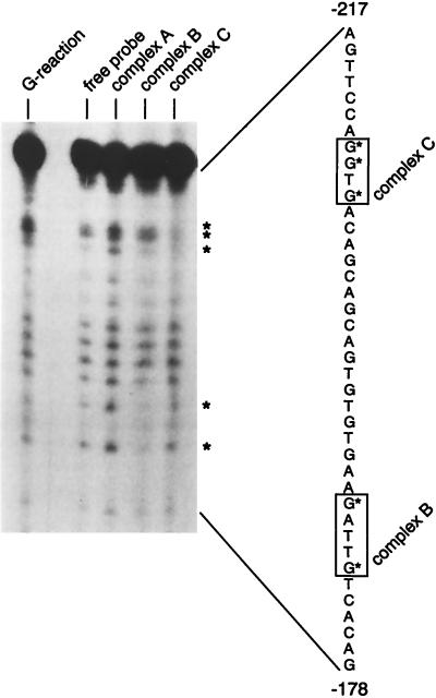 FIG. 7