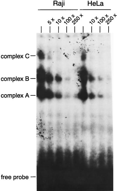 FIG. 6