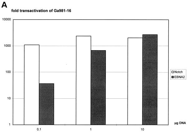 FIG. 1