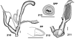 Figures 210–213.