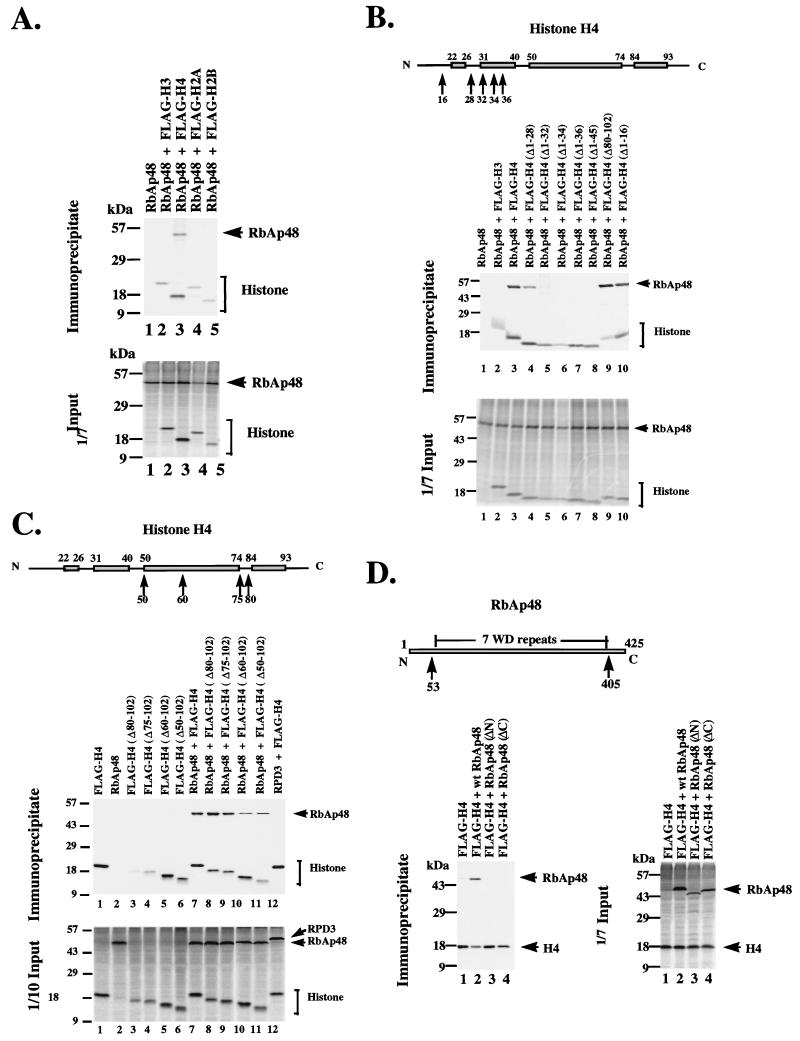 FIG. 6