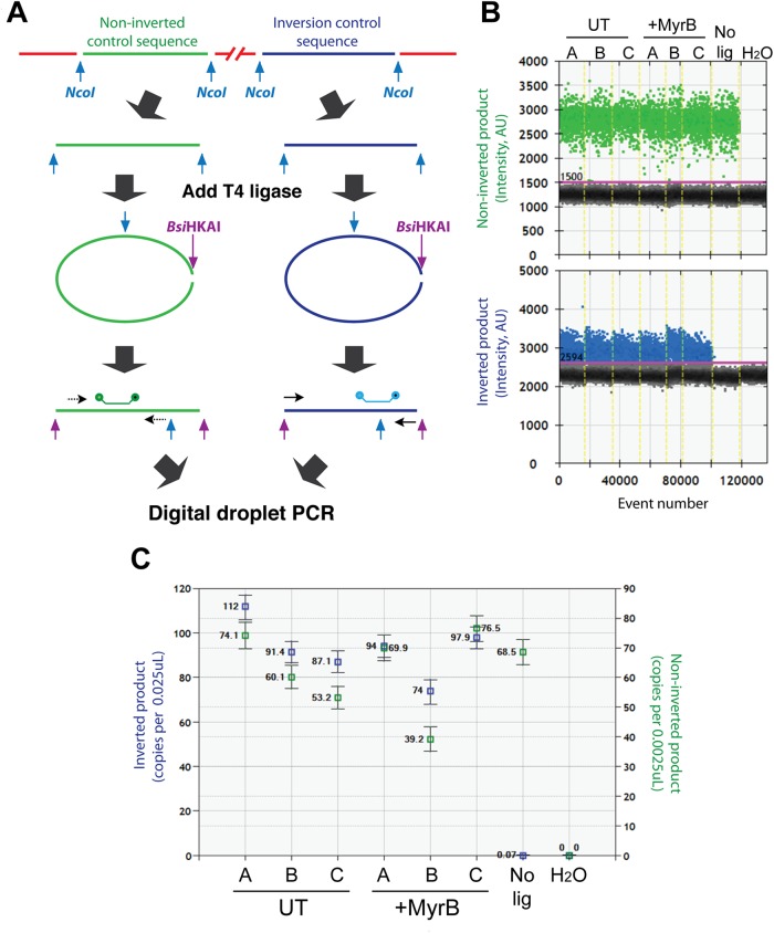 FIG 3