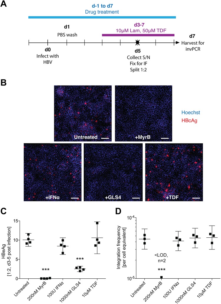 FIG 6