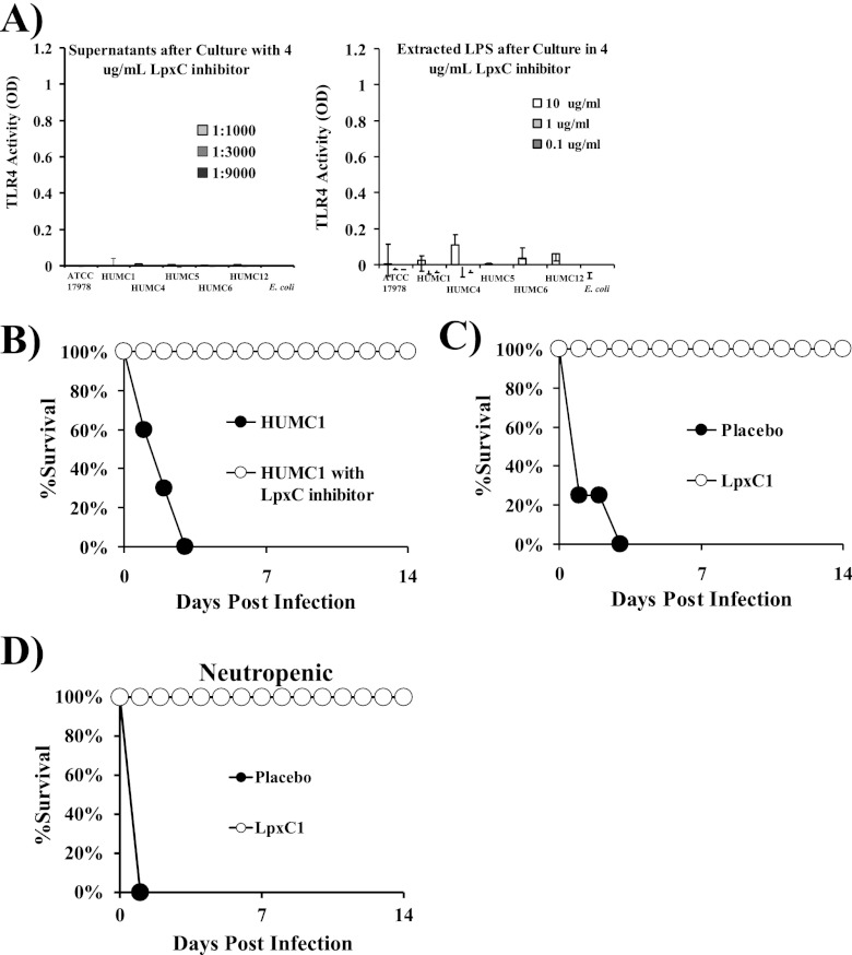 FIG 6 