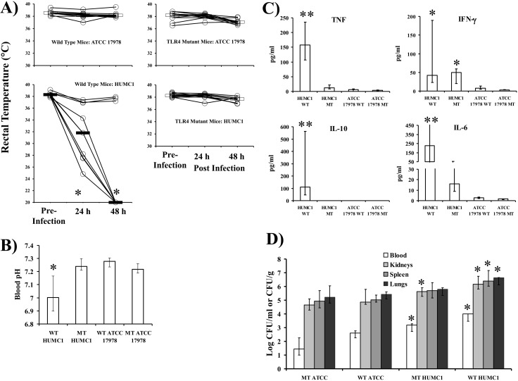 FIG 2 