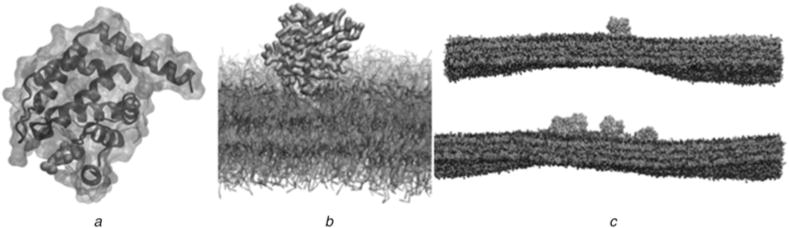 Fig. 2