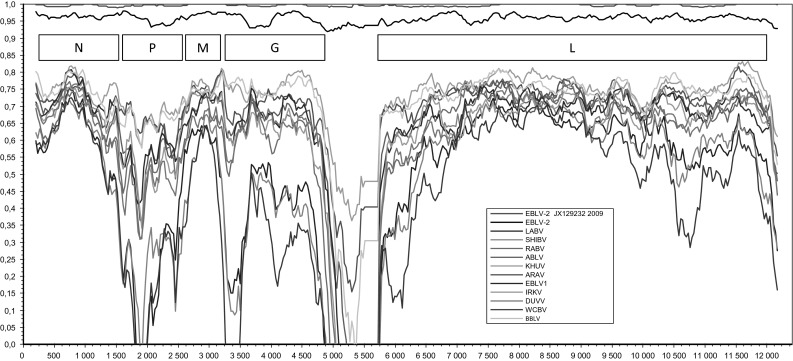 Fig. 1