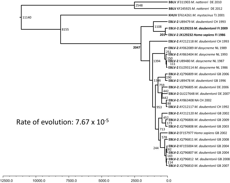 Fig. 4