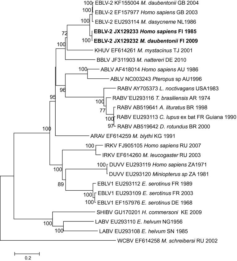 Fig. 2