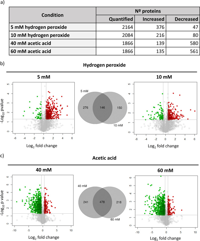 FIG 3