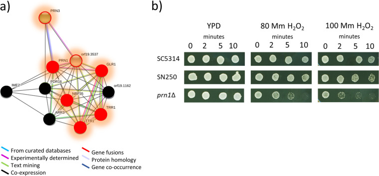 FIG 6