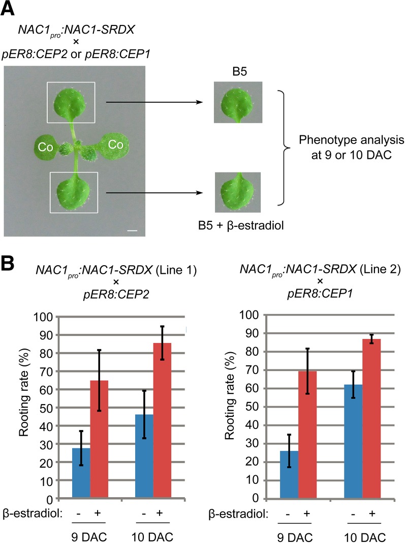 Figure 7.