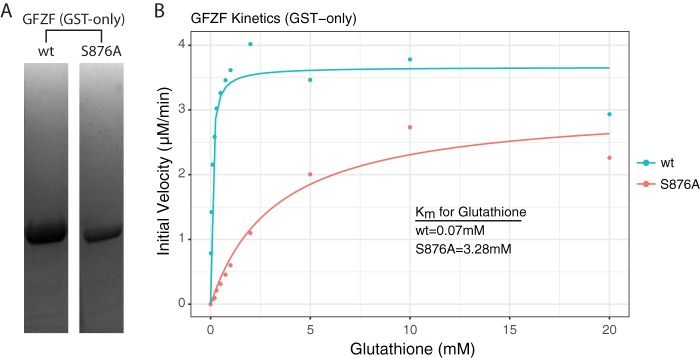 FIG 6