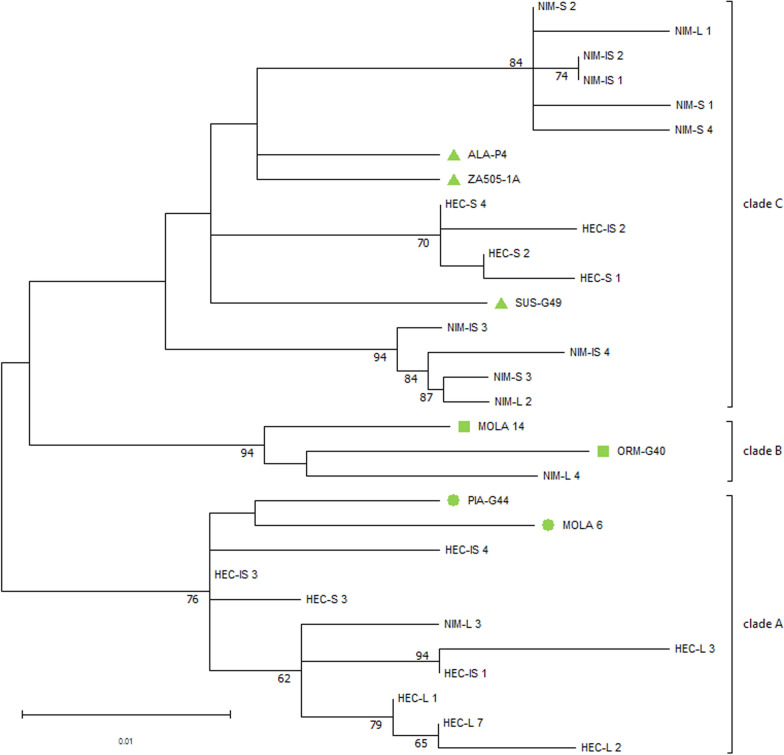 Fig. 4