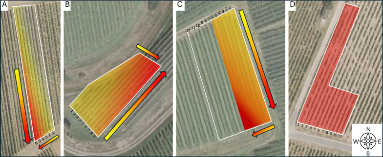 Fig. 3