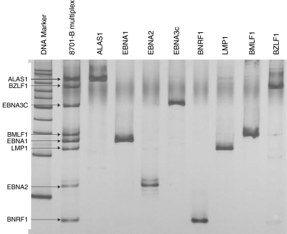 Fig. 5