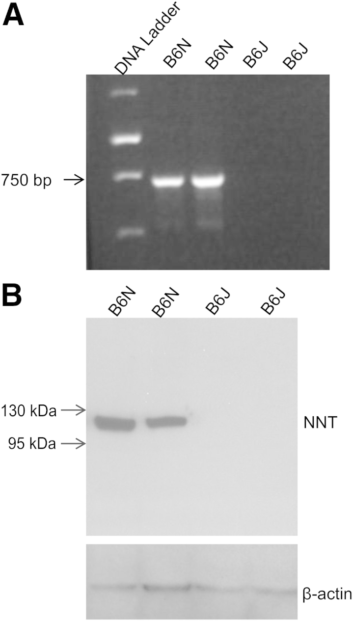 Figure 5