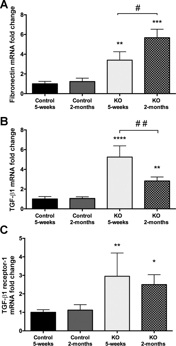 Fig. 9.