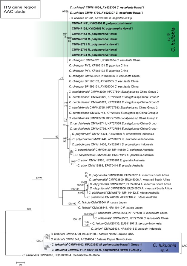 Fig. 6