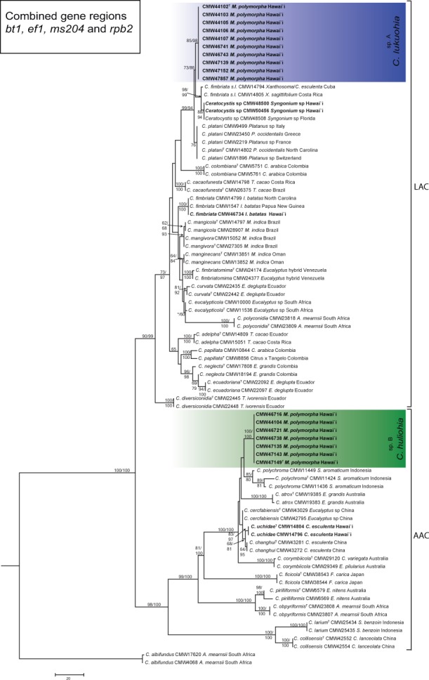 Fig. 4