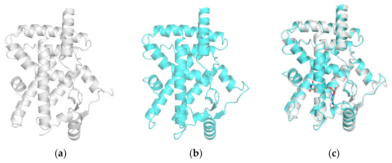 Figure 5