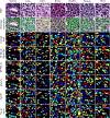 Fig. 2: