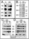 FIG. 7.