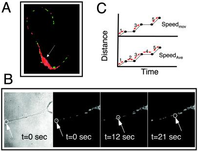 FIG. 3.