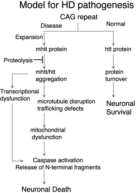 FIG. 8.