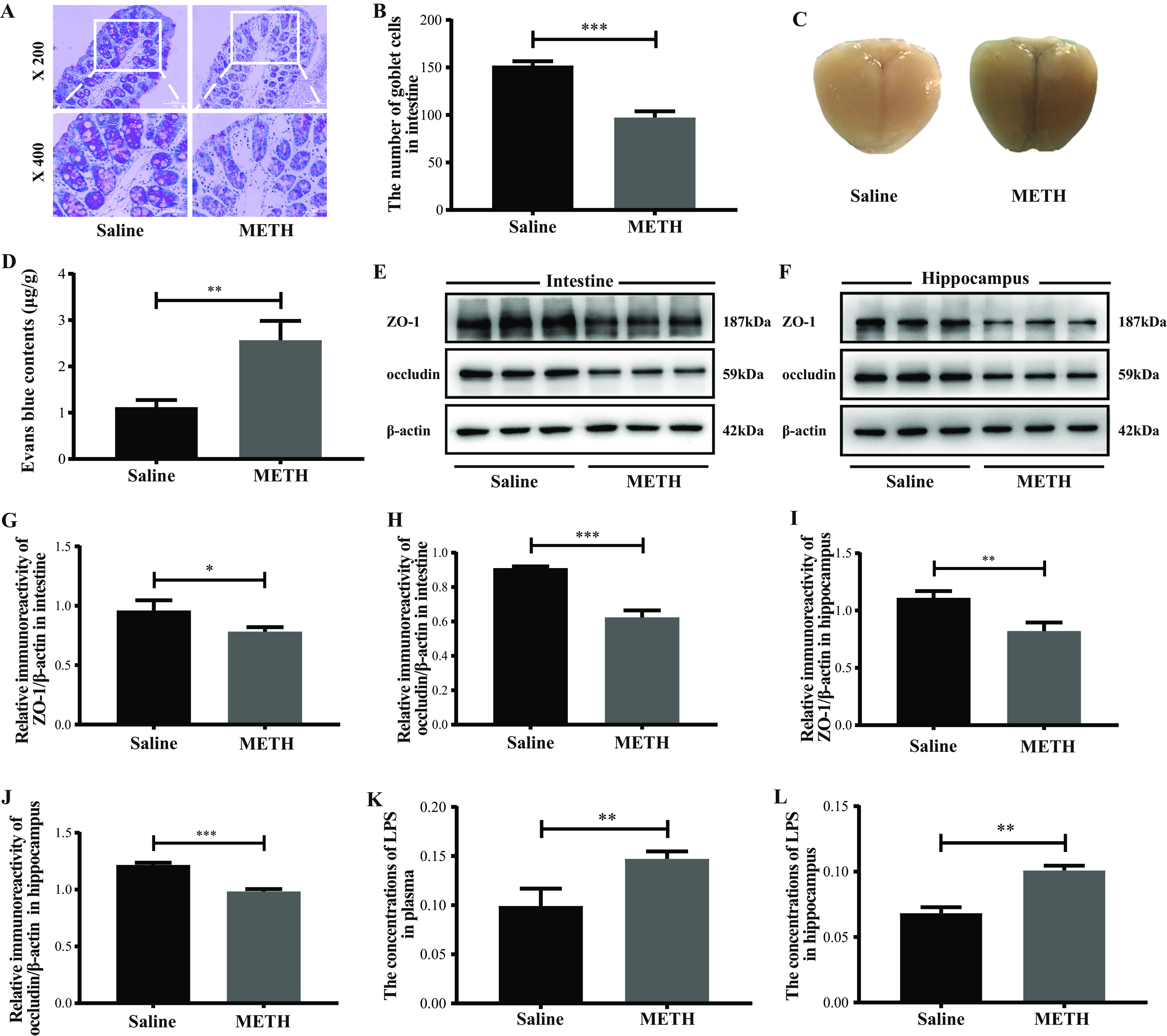 FIG 3