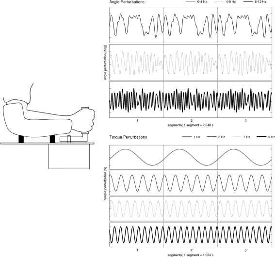 Fig. 1