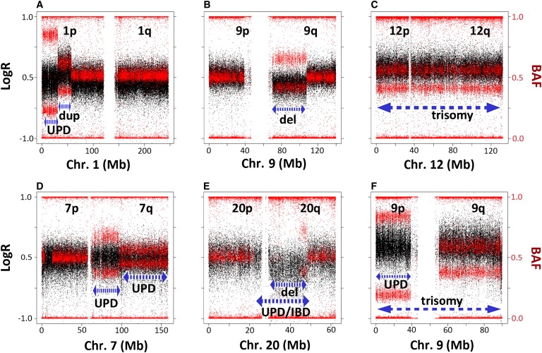 Figure 1