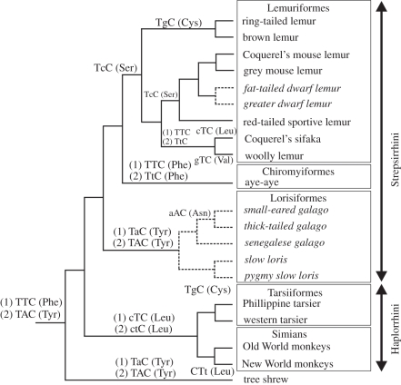 Figure 2.