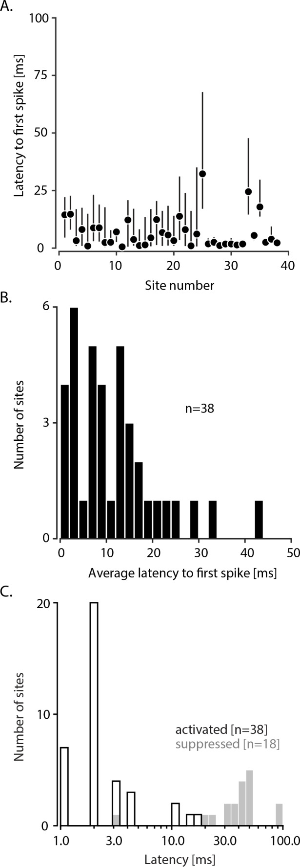 Figure 2—figure supplement 2.