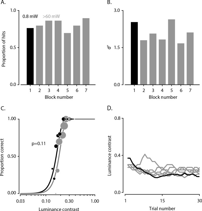 Figure 6—figure supplement 1.