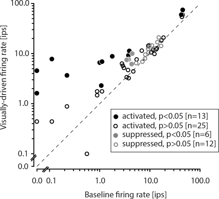 Figure 2—figure supplement 1.