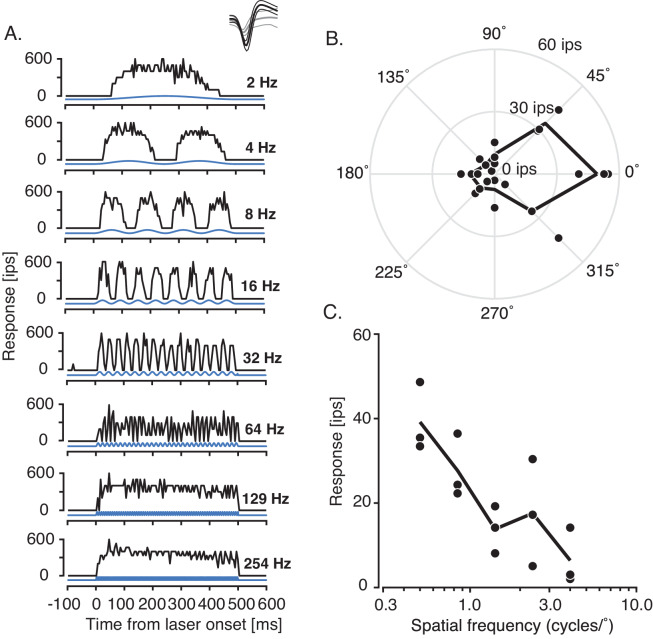 Figure 9.