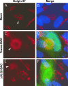 FIG. 7.