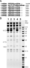 FIG. 2.