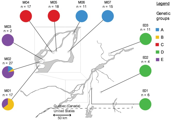 Figure 1: