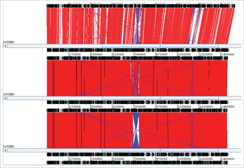 FIGURE 2-A1